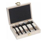 Jeu de forets forestiers EXPERT Wood 5 pièces Bosch - 2608901843