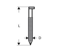 Bosch Clou en bande tête D SN34DK 75R 2,8 mm, 75 mm, métallique, rainuré