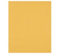 Bosch du papier de verre Expert C470 pour le ponçage manuel, 230 x 280 mm, 120 G