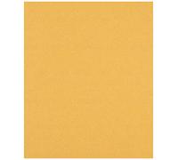 BOSCH Feuille abrasive EXPERT C470 pour ponçage manuel 230 x 280 mm, G 100 2608900960
