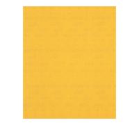 Bosch Feuille de papier abrasif Bosch Expert C470 pour ponçage à la main, 230 x 280 mm, G 240 Quantité:50