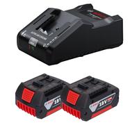 Bosch Kit de démarrage 2x GBA 18 V / 5 Ah / 5000 mAh batterie Li-Ion ( 2x 1600A002U5 ) + chargeur GAL 18V-160 Professional ( 1600A02T5G )