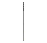Bosch Mèches pour coffrages et lambrissages, à queue SDS plus 10 x 600 mm Quantité:1