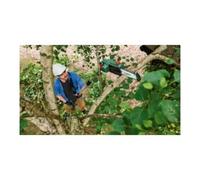 Bosch Perche d’élagage sans fil de Bosch UniversalChainPole 18 Quantité:1