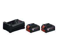 Bosch Professional 1.600.A03.CH1 2xGBA18V 5.0Ah, GAL12V/18 Batterie pour Outil 18 V