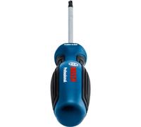 Bosch Professional tournevis Torx TX25 x 100 mm