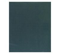 Bosch Professional Zubehör, Abrasifs, Feuille abrasive C355, feuille abrasive papier, 230 x 280 mm, 600 (600)