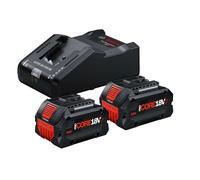 Bosch - Set chargeur 16A et 2 batteries 18 V Li-Ion 8,0 Ah 1600A02X03