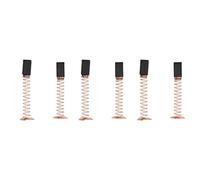 Bosiyrggrl 6 Pièces Séries Moteur à Brosse En pour 3000 200 Pièce de Réparation de Brosse pour Outils à Moteur Rotatif électrique