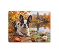 Boston Terrier on Wooden Dock in Autumn Plaque Métal 30x40cm, Art Mural | Apportez une note déco dans l'espace loisirs avec des panneaux muraux en métal comme finition déco.