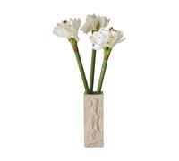 Botané Bouquet artificiel Amaryllis Blanc. 73 cm