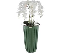 botle Bouquet d'orchidée artificielle blanche en cascade dans un pot avec rainures vertes, hauteur 100 cm, fleurs caoutchoutées, décoration belle et élégante pour la maison, le bureau