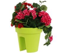 botle Jardinière de Balcon Ovale - 24,5 cm - 5 l - Citron Vert