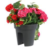 botle Jardinière de Balcon Ovale Anthracite 24,5 cm 5 l