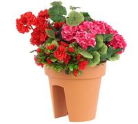 botle Jardinière de Balcon Ovale marron 24,5 cm Balconière à balustrade de 6 mm pot de fleur à suspendre cache pot à accrocher
