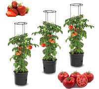 3x Plante de tomate en plastique Set de 3 pots de plantation 28 L, cultivateur de tomates, pot de tomates, cache-pot, légumes, tomates Laver