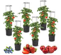 6x Plante de tomate en plastique Set 6 pots de plantation 28 L, cultivateur de tomates, pot de tomates, cache-pot, légumes, tomates Laver