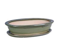botle Mini Pot de Fleurs en céramique pour bonsaï - Vert - Taille : 50