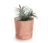 Botle Pot De Fleur Rond Terre Cuite Marron Plastique Beton Effect Cache Pot 28,3 Cm Decoratif Bac A Plantes Avec Soucoupe Fleurs Multicolore