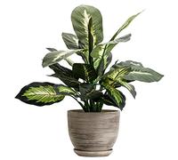 botle Pot de fleurs en céramique peint à la main D 130 mm béton gris foncé en céramique avec soucoupe trou d'évacuation d'eau