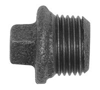 RIEGLER Riegler Bouchon 290, avec rebord, R 1 a. Fonte malléable noire Quantité:1