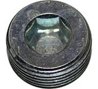 bouchon fileté Wolf 3/4" SW12 5900200 DIN906, pour MGK