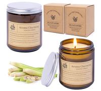 Bougie à la citronnelle d'extérieur contre les moustiques : lot de 2 bougies à la citronnelle dans un verre de 200 g, bougies en cire de soja naturelle, cadeau pour jardin, camping, terrasse