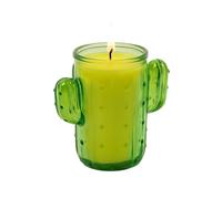 Bougie à la Citronnelle en Forme de Cactus Pot en Verre Longue Durée Idéale pour Extérieur