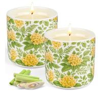 Bougie Citronnelle 2 Pièces, 240h Combustion Grosse Bougie Parfumée Citronnelle, Bougie en Cire de Soja Naturelle pour Jardin, Piscine, Camping, Terrasse, Pique-Nique