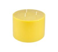 Bougie Déco Parfumée Trendie 15cm Miel Sauvage