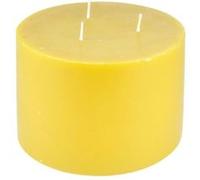 Bougie Déco Parfumée Trendie 15cm Miel Sauvage