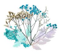 Bougie Fleur Séchée Noël pour Loisirs Créatifs, Fleurs Naturelles Bleues | Éléments Délicats pour Résine, Nail Art, Pages ou Albums, Teinte Solide, Décoration Intérieure Élégante