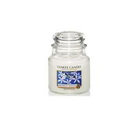 bougie moyenne jarre, « Jasmin de minuit »