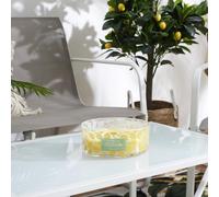 Bougie parfumée 25h LIMONE à la cire de paraffine senteur citronnelle motif citron