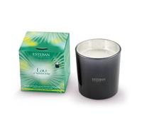 Bougie parfumée 450g eau d'amazonie