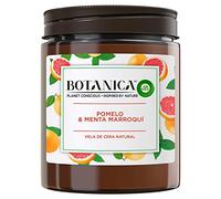 Bougie Parfumée Air Wick Botanica Menthe Pamplemousse 205 g