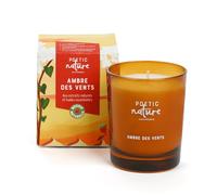 Bougie parfumée Ambre Des Vents