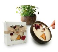 Bougie parfumée artisanale en noix de coco - Cire de soja 100% végétale, ~40 h - Végan, sans phtalates/CMR - À planter (graines + terreau inclus) - MAFLOREA (Pomme d’Amour - Édition Cadeau Premium)