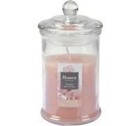 Bougie Parfumée Bocal "Essentiel II" 15cm Cerisier en Fleurs G