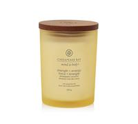 Bougie parfumée Chesapeake Bay Strength + Energy 250 g