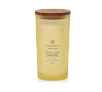 Bougie parfumée Chesapeake Bay Strength + Energy 355 g