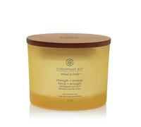 Bougie parfumée Chesapeake Bay Strength + Energy à 3 mèches 312 g