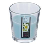 Bougie Parfumée en Verre Nina 90g Fleur Tiaré