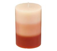 Bougie parfumée fruits exotiques 310g - Atmosphera Créateur d'intérieur