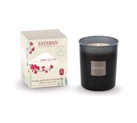 Bougie parfumée initiale esprit de thé