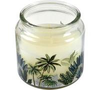 Bougie Parfumée "Jardin d'Eden" 10cm Douceur Exotique G