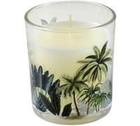 Bougie Parfumée Jardin d'Eden 8cm Douceur Exotique G