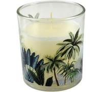 Bougie Parfumée Jardin d'Eden II 10cm Douceur Exotique