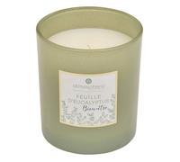 Atmosphera – Bougie parfumée Mael – Eucalyptus – 190 g