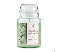 Bougie parfumée Purple River Eucalyptus & Citronnelle, coulée à la main, cire soja, 623 g, 140 h, verre, 2 mèches coton